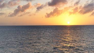 施設からの眺望 / 8