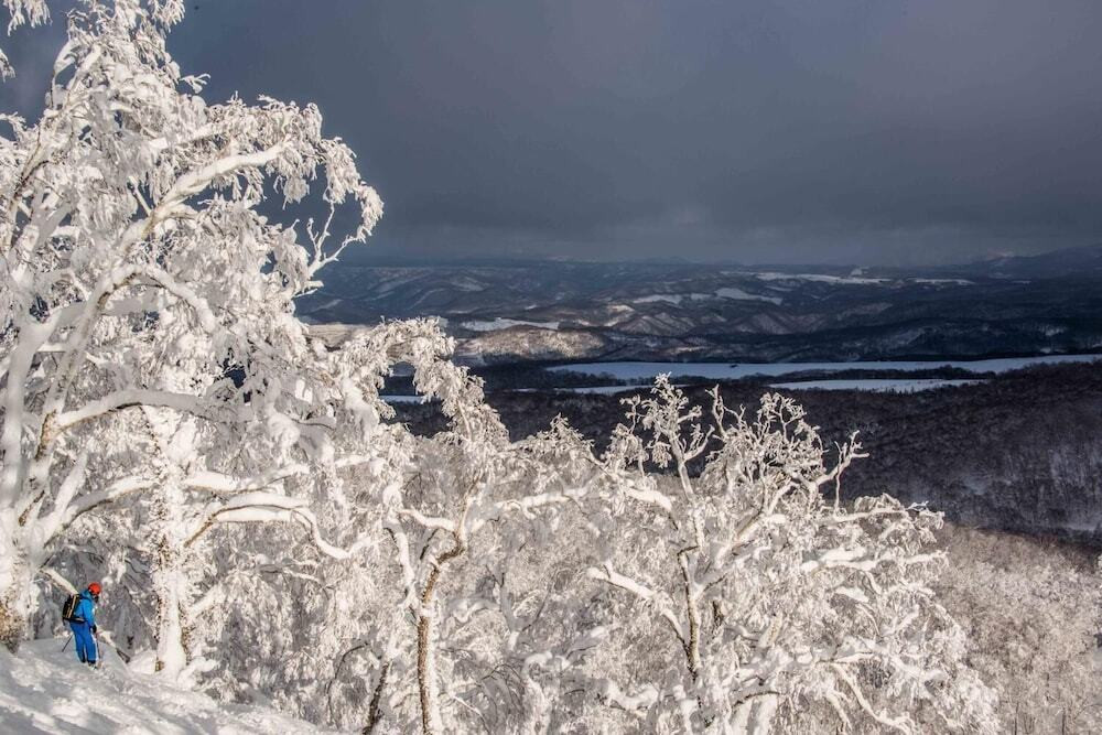 スノー スポーツとスキー