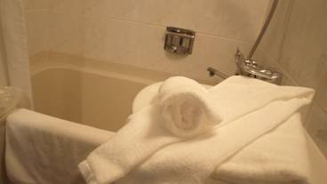 バスルームの設備 / 19