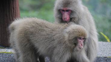 ランド ビュー / 14