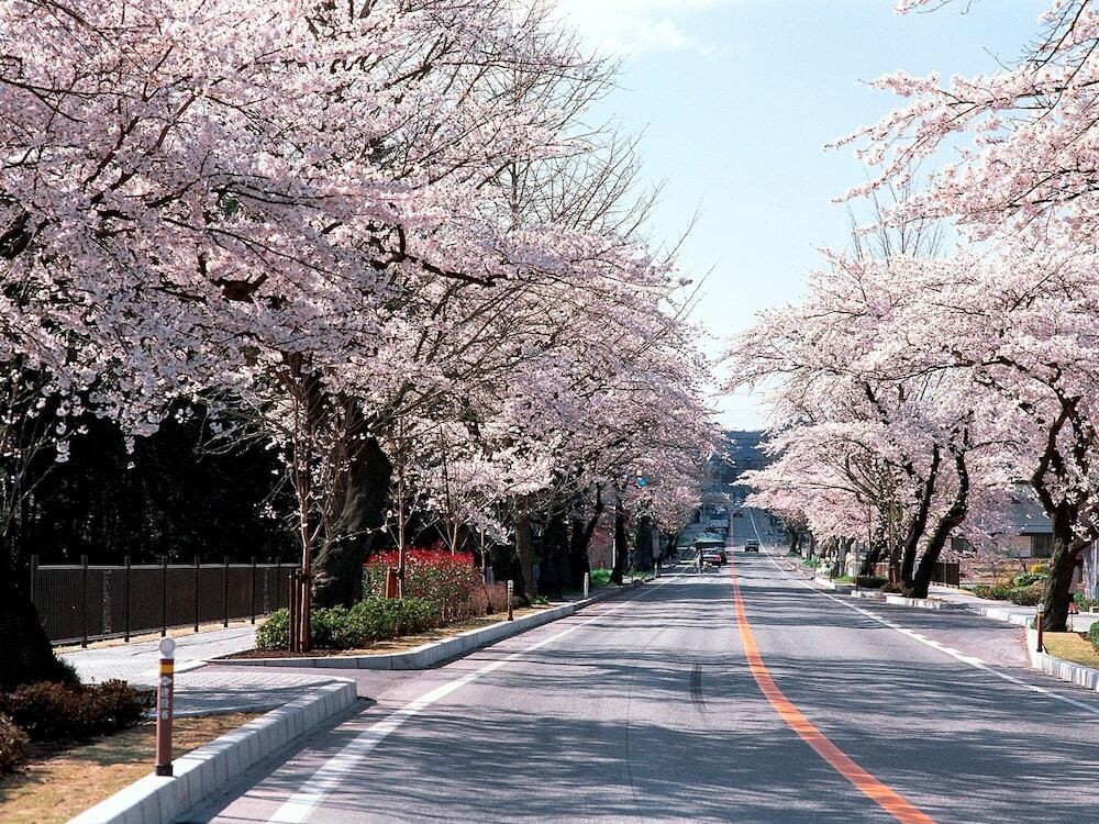 施設からの眺望