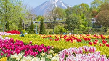 観光スポット / 3