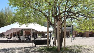 バーベキュー / ピクニック エリア / 9