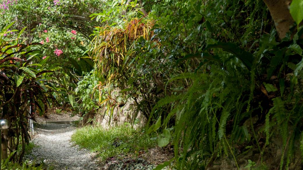 さちばるの庭 / 4