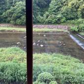 三朝温泉 旅館 大橋（鳥取県 旅館） / 2