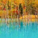 「秋の北海道」が美しすぎる！ひと足早い紅葉＆秋絶景に癒されましょ【10選】
