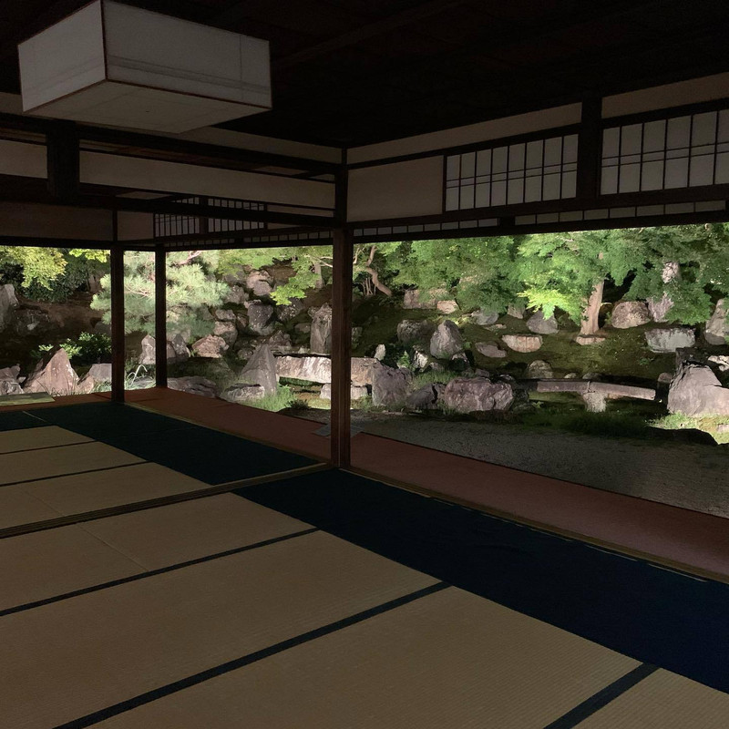 ririripkさんの写真 / 6