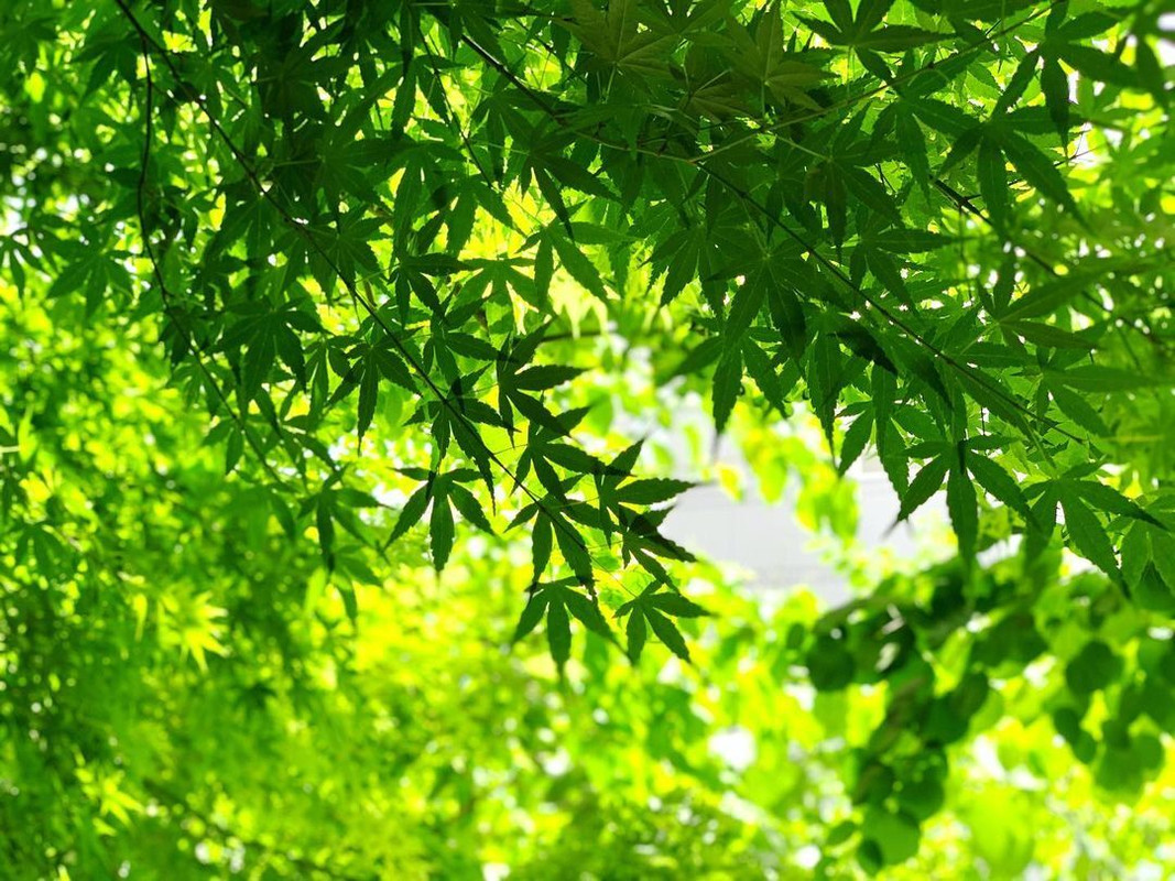 etchan_simosimoさんの写真 / 3