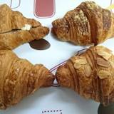 オルセットビアンコ(オルセットビアンコ)