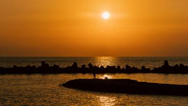 あたら夜 西伊豆（アタラヨ ニシイズ） / 1