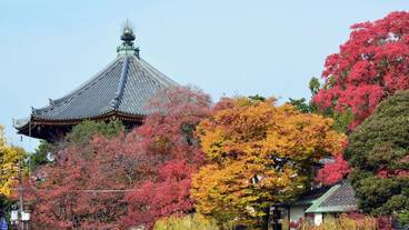 シティ ビュー / 28