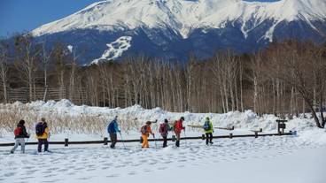 スノーシュー / 2