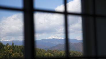 部屋からの景観 / 16