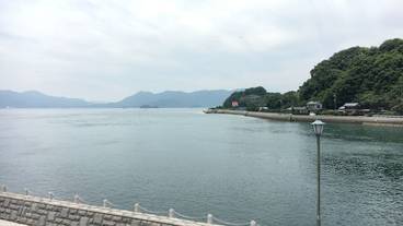 部屋からの景観 / 30