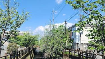 施設からの眺望 / 16