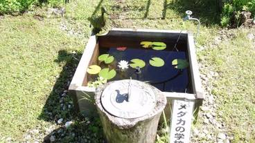 子供用の遊び場 - 屋外 / 11