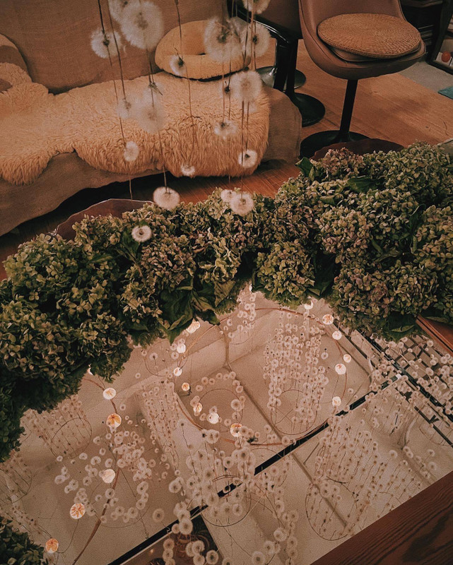 lanavenderさんの写真 / 5