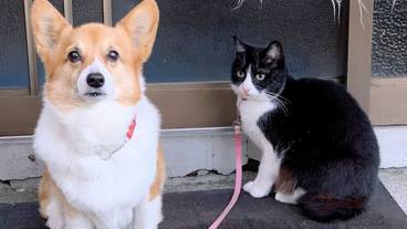 施設内の設備 / 17