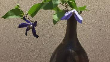 内装の詳細 / 11