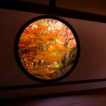 京都の紅葉スポットはココ。京都の「源光庵」で秋を堪能