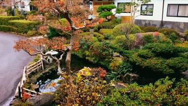 施設の敷地 / 24