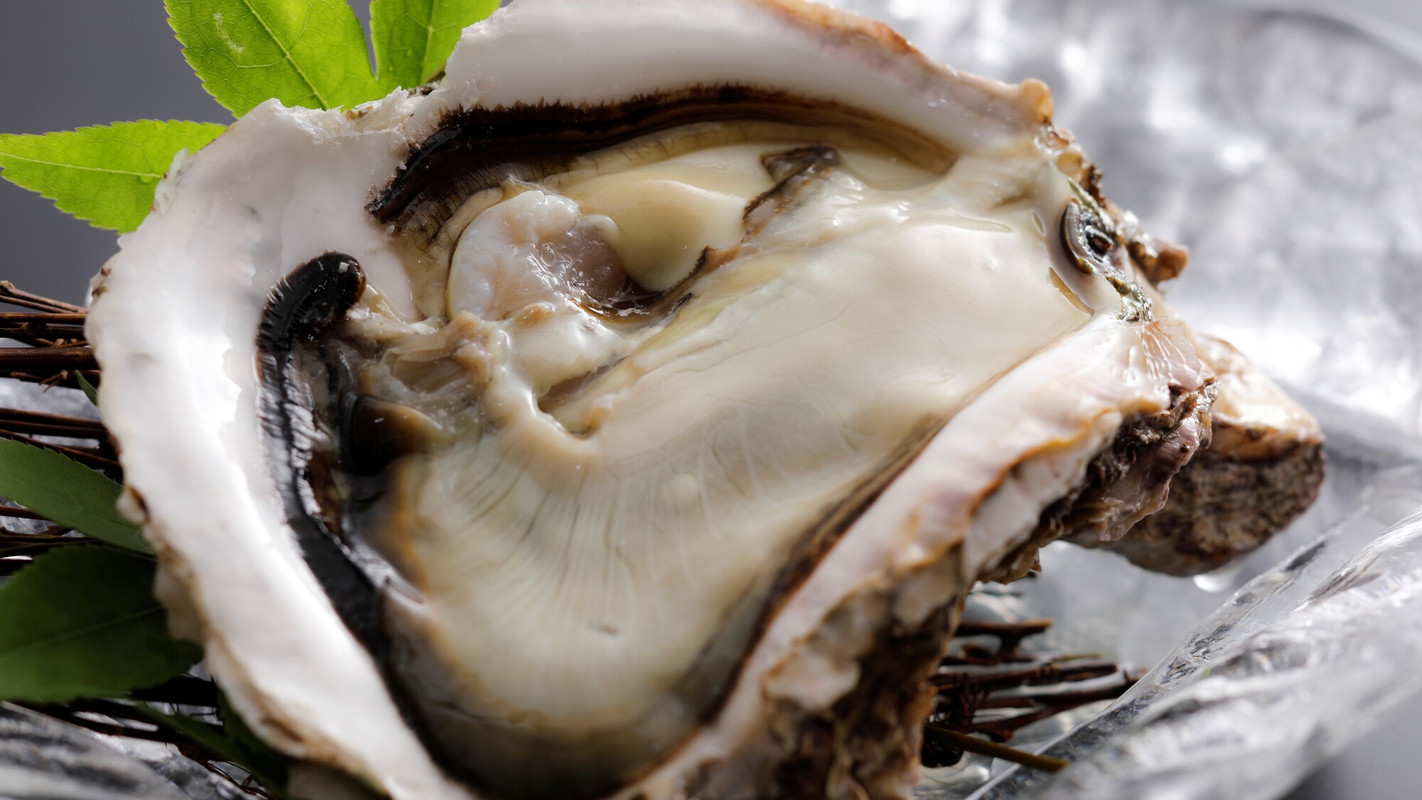 岩牡蠣(初夏~夏)