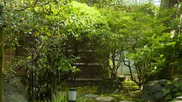 施設からの眺望 / 31