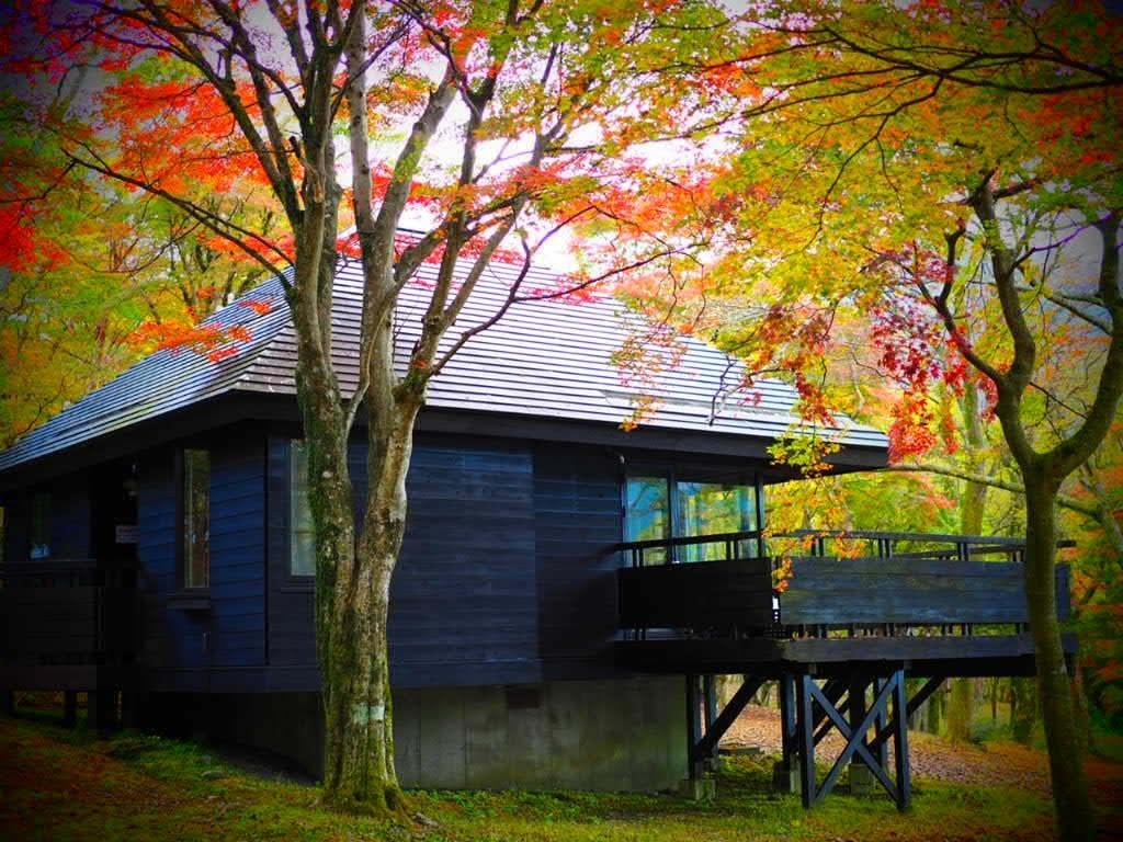 芦ノ湖畔で別荘気分でグランピングを楽しもう3407330