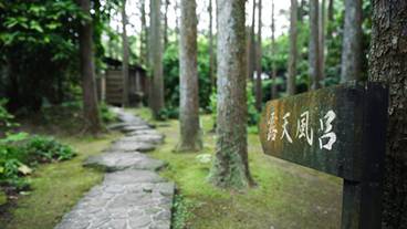 その他 / 17
