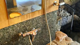 初音 （露天風呂付）