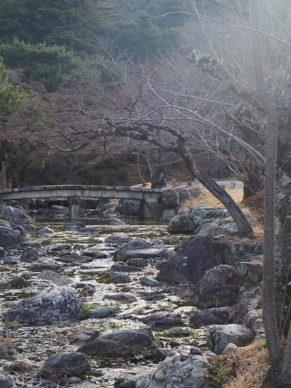 peco_naoさんの写真 / 1