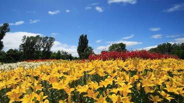 施設からの眺望 / 14