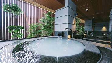 庭の湯のシルキージャグジーバス / 5