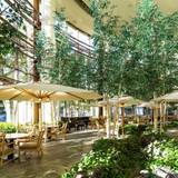 「テラ」内観 / 1