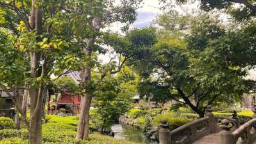 シティ ビュー / 26