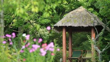 アンダの森 伊豆いっぺき湖（アンダノモリ イズイッペキコ） / 2