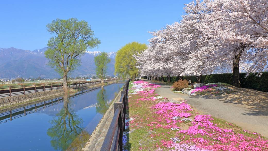 春の安曇野 / 3