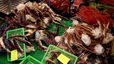 観光スポット / 8