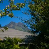 源泉掛け流しの離れ宿 由布院別邸 風の森（大分県 旅館） / 3