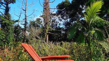 テラス / パティオ / 15