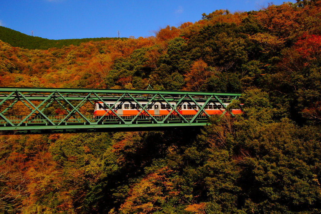 箱根登山電車701248