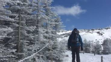 スノーシュー / 2