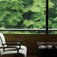 山中温泉 花紫