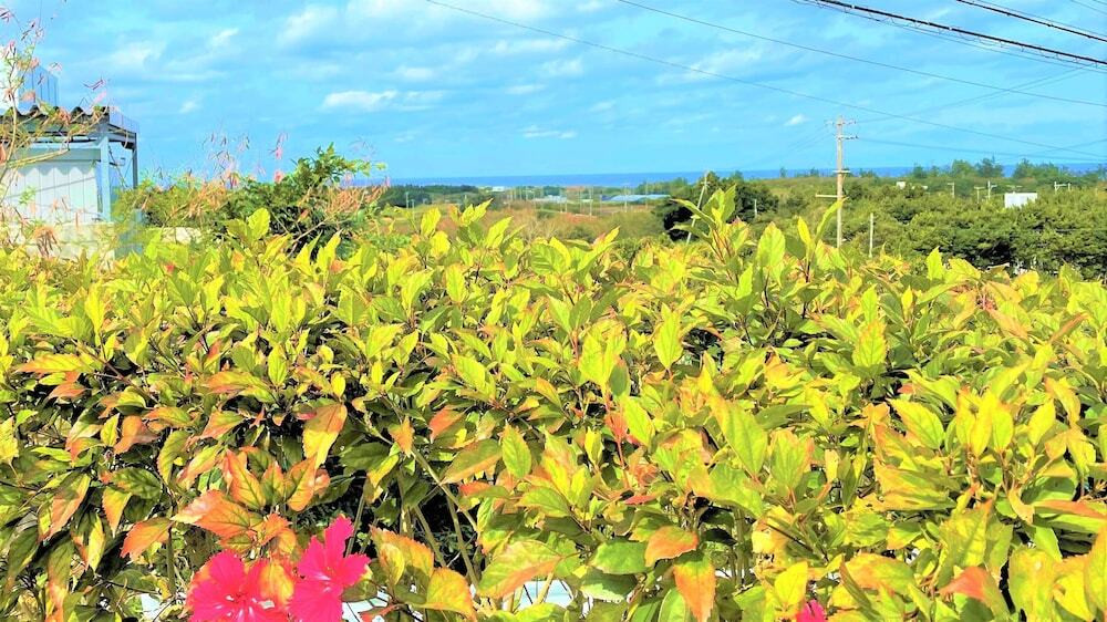 ビーチ / オーシャン ビュー