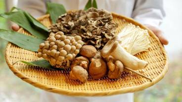 食事・飲み物 / 8