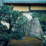 巨石を配した美しい庭 / 3