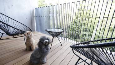 レジーナリゾート旧軽井沢（レジーナリゾートキュウカルイザワ） / 10