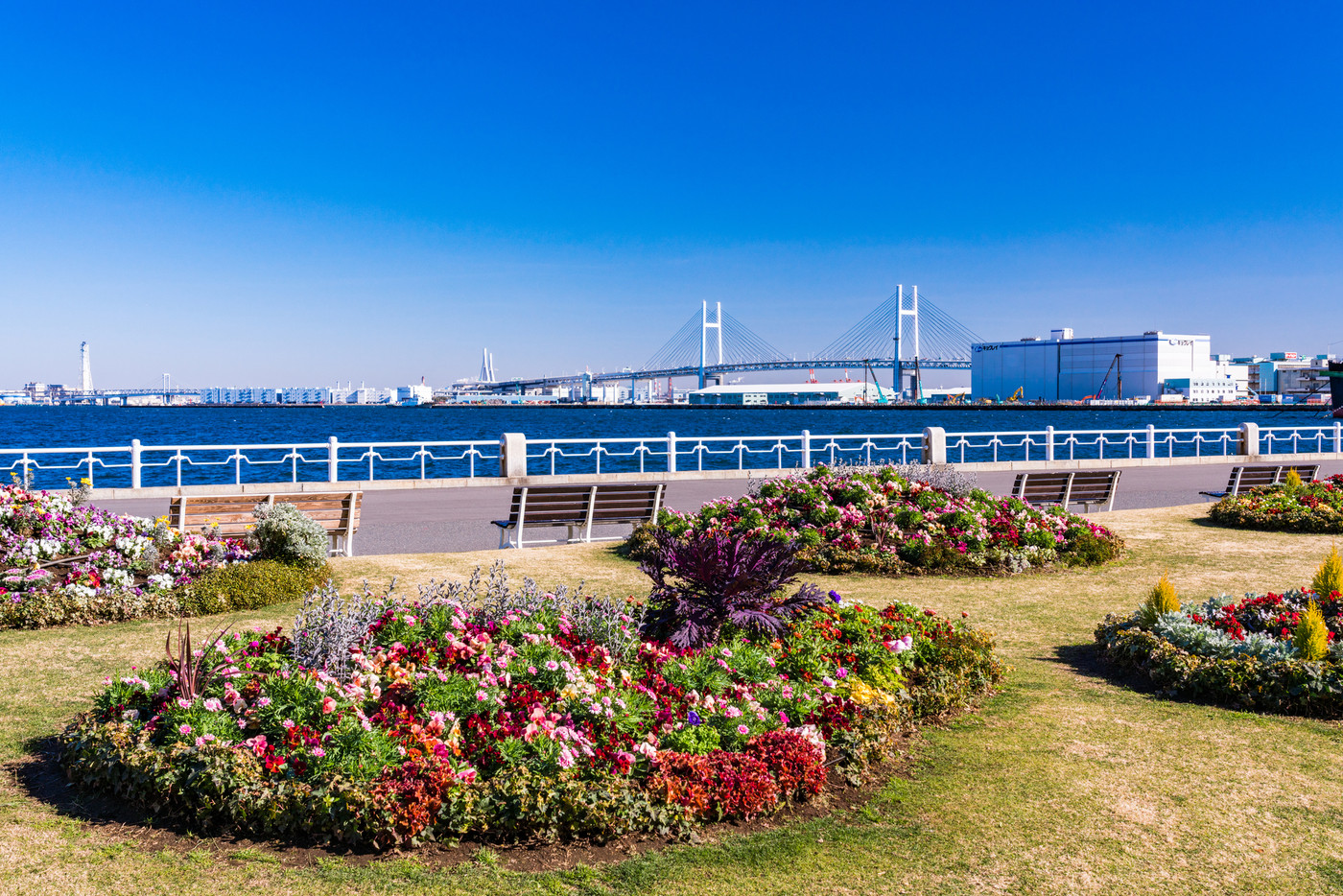 (神奈川県)横浜みなとみらい・山下公園