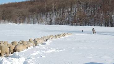 施設の敷地 / 14
