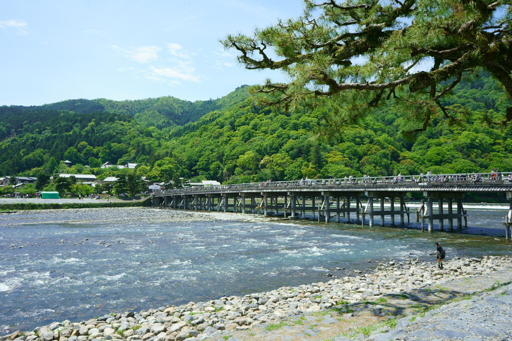 自然いっぱい♡嵐山のシンボル「渡月橋」でのんびり散策1639124